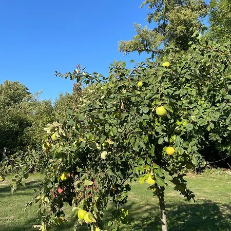 An Der Selke Hébergement de vacances Meisdorf