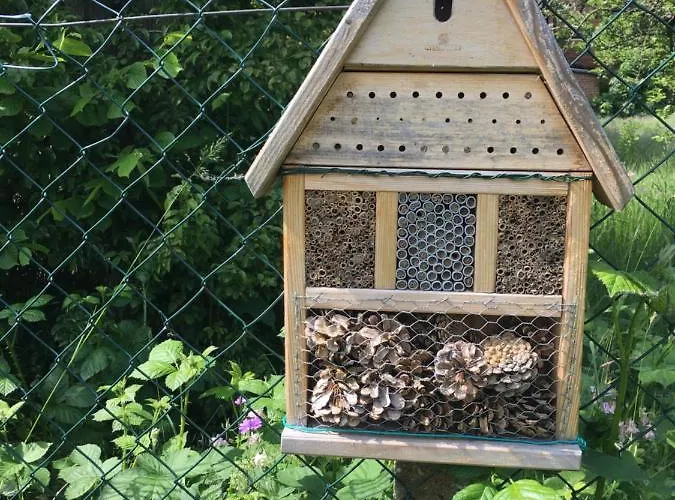 An Der Selke Feriehus