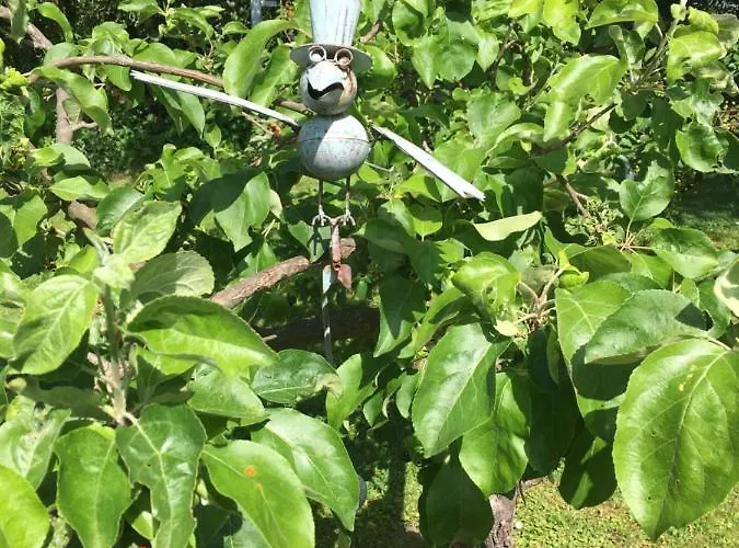 An Der Selke Tatil Evi *