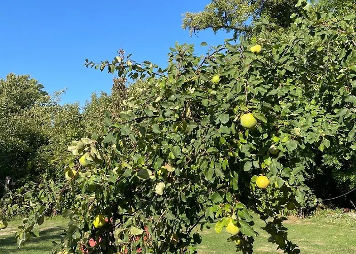 An Der Selke Feriehus Meisdorf